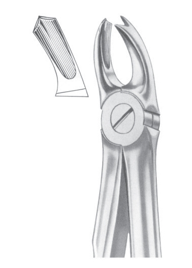 Extracting Forceps English Pattern